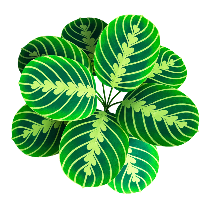 Lemon-Lime Calathea paper plant kit