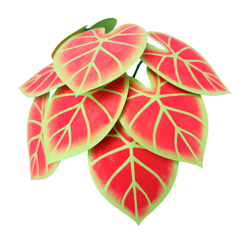 Caladium New Wave paper plant kit